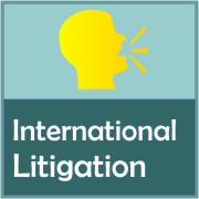 International Litigation - Studio Graziotto